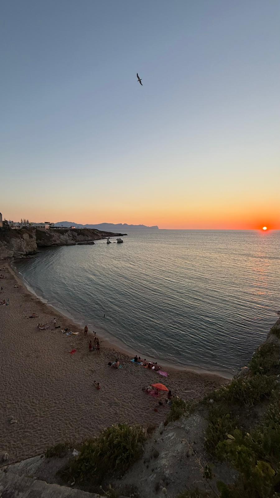 Banner Profilo - Terrasini Sunset